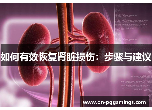 如何有效恢复肾脏损伤：步骤与建议