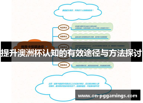 提升澳洲杯认知的有效途径与方法探讨