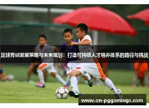 足球青训发展策略与未来规划：打造可持续人才培养体系的路径与挑战