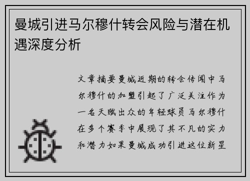 曼城引进马尔穆什转会风险与潜在机遇深度分析